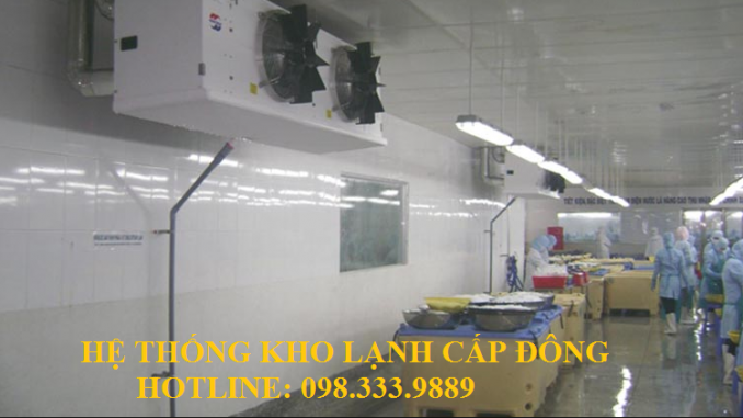 HỆ THỐNG KHO LẠNH CẤP ĐÔNG