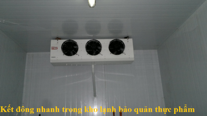 Kết đông nhanh trong kho lạnh bảo quản thực phẩm