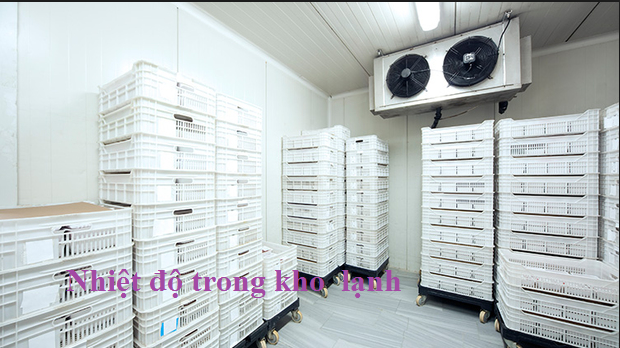 Nhiệt độ trong kho lạnh