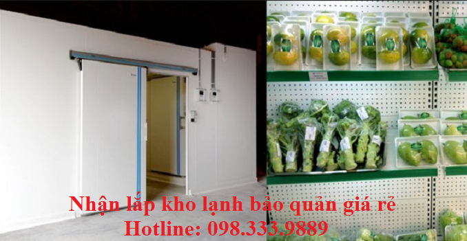 Nhận lắp kho lạnh bảo quản giá rẻ