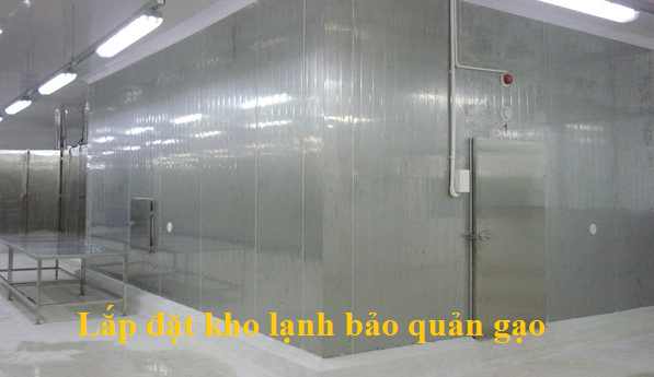 Lắp đặt kho lạnh bảo quản gạo